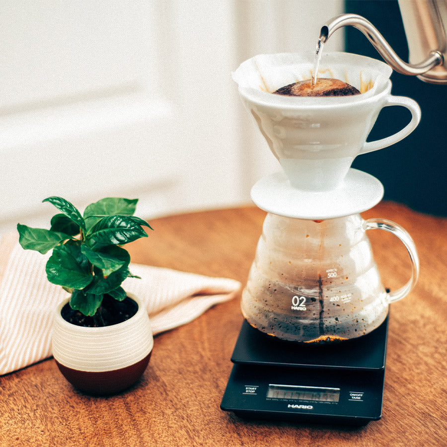 Hario V60 Feinwaage