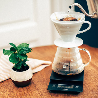 Hario V60 Range Server 600ml - Glas